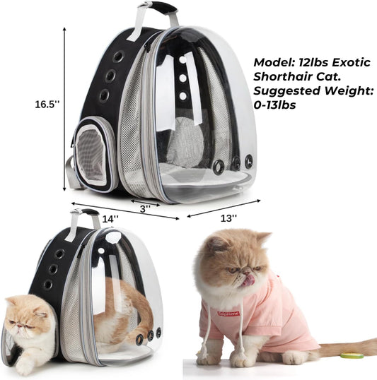 Front-Expandable Black Cat Carrier Bubble Backpack Airline Approved