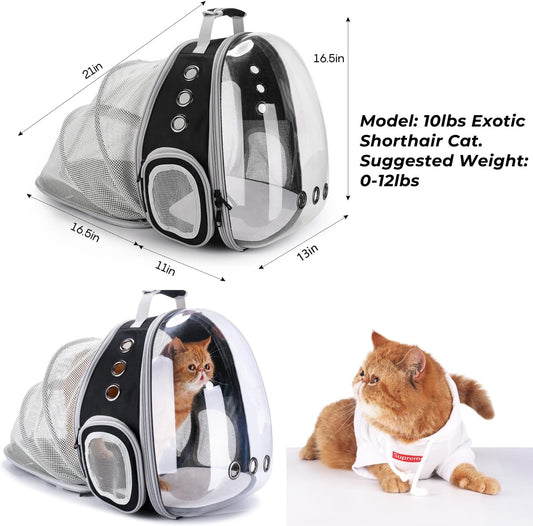 Back-Expandable Black Cat Carrier Bubble Backpack Airline Approved