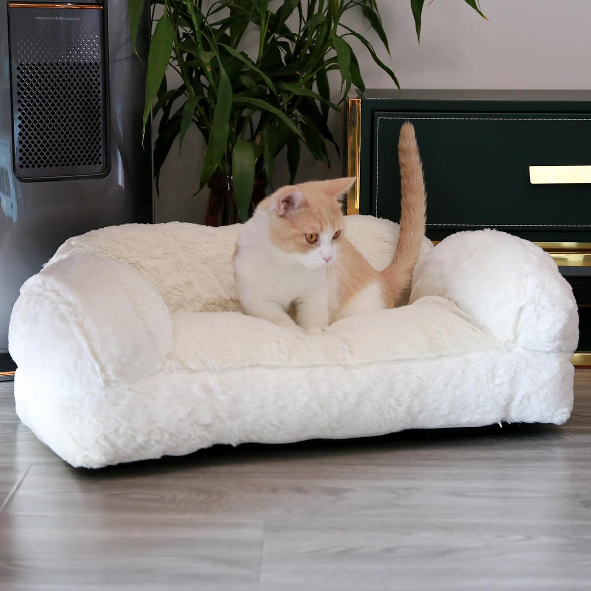 Anti-Slip Cat Couch Bed for Small Cats