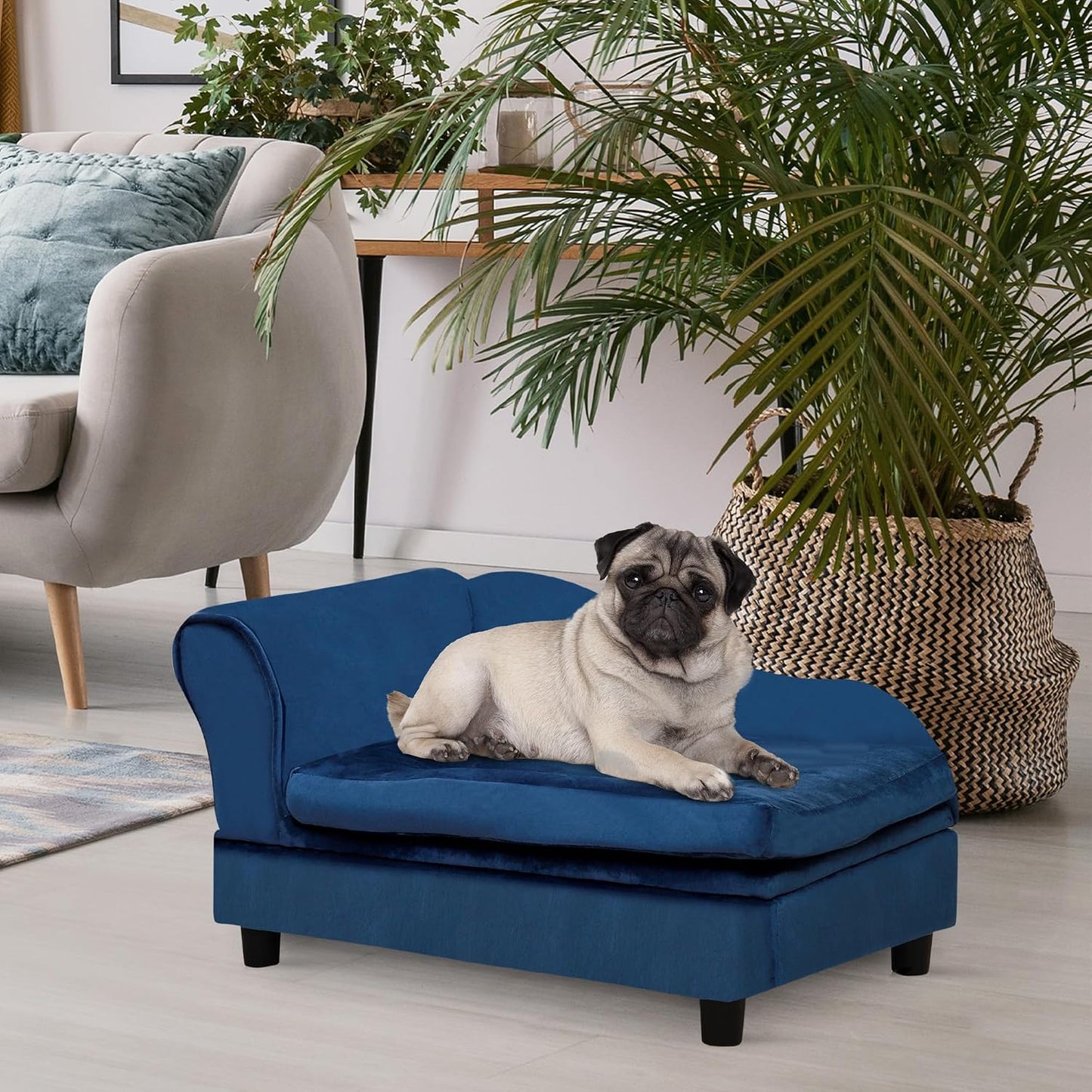 Blue Fancy Small Dog Sofa Bed with Hidden Storage 2" Foam