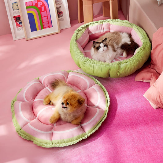 Washable Reversible Donut Pet Bed for Cats and Kittens 21x21x7