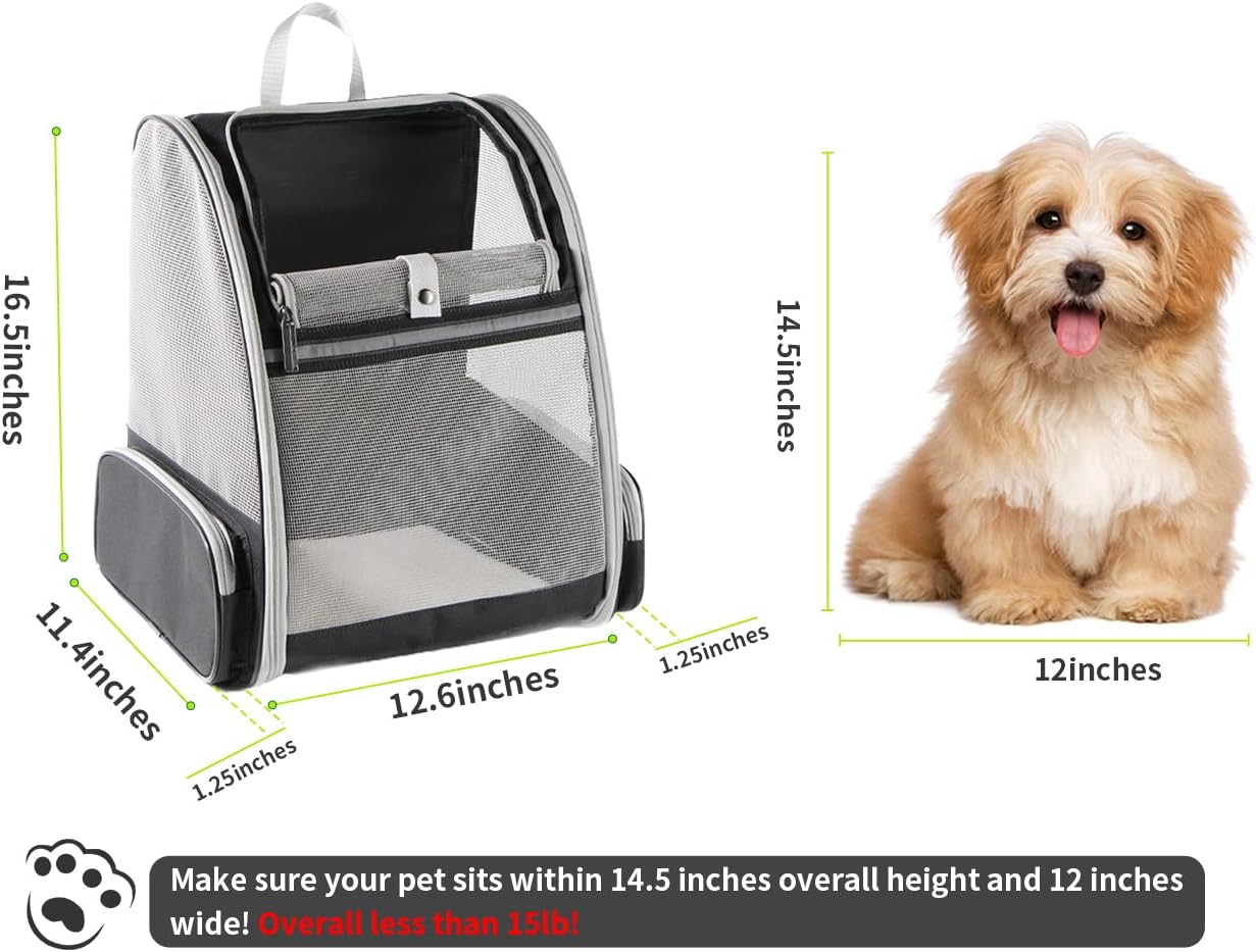 Black Bubble Backpack Pet Carrier for Cats and Dogs