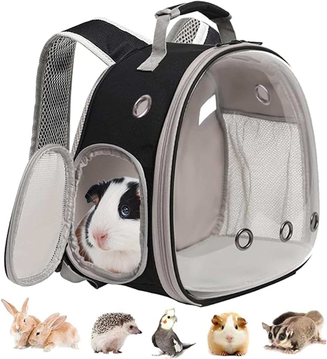 Guinea Pig Bubble Window Backpack Small Animal Carrier