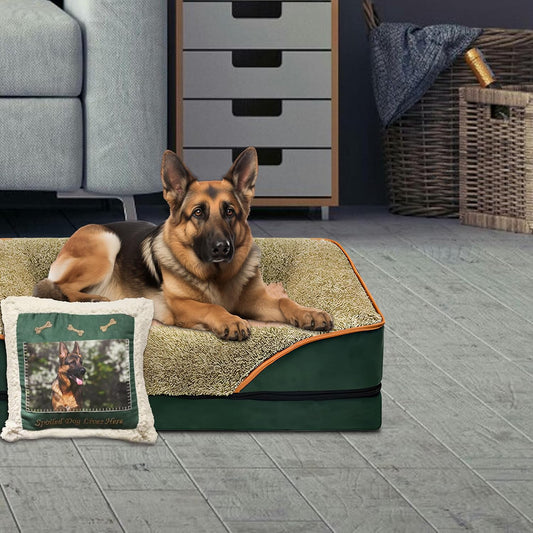 Green Large Orthopedic Dog Sofa Bed with Pillow 40x24x6.5