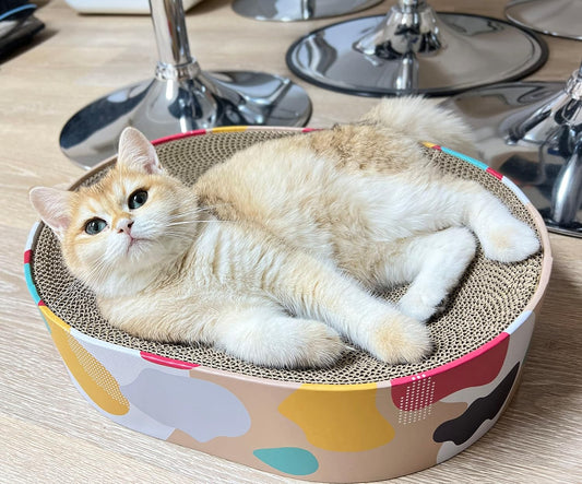 Oval Cat Scratcher Lounge Bed for Big Cats
